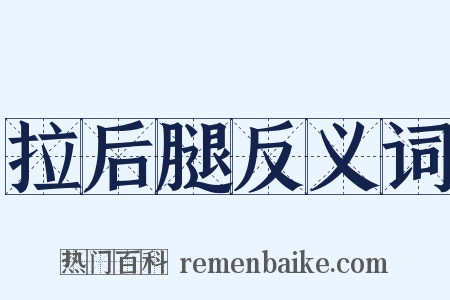 拉后腿反义词是什么意思的图片
